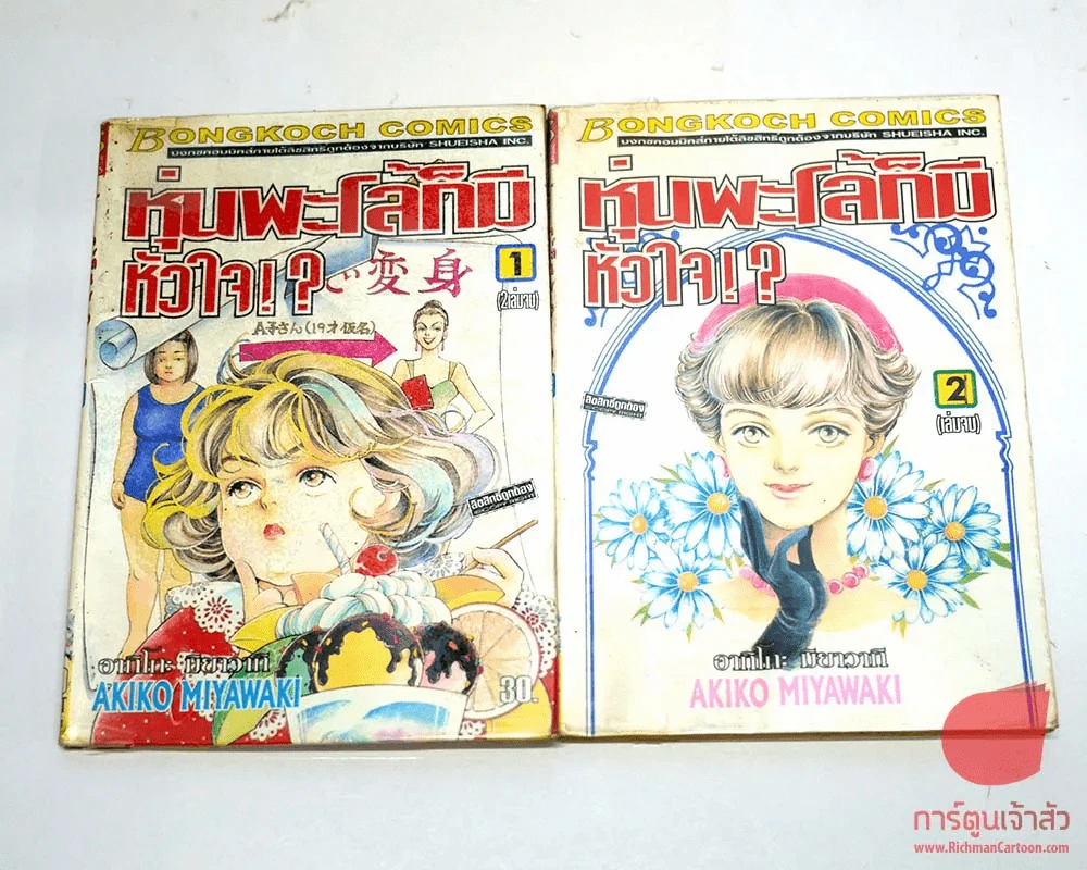 หุ่นพะโล้ก็มีหัวใจ 2 เล่มจบ รูปที่ 1