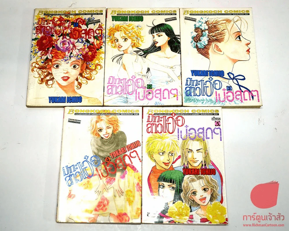 มิกะสาวเอ๋อเป๋อสุดๆ 5 เล่มจบ รูปที่ 1
