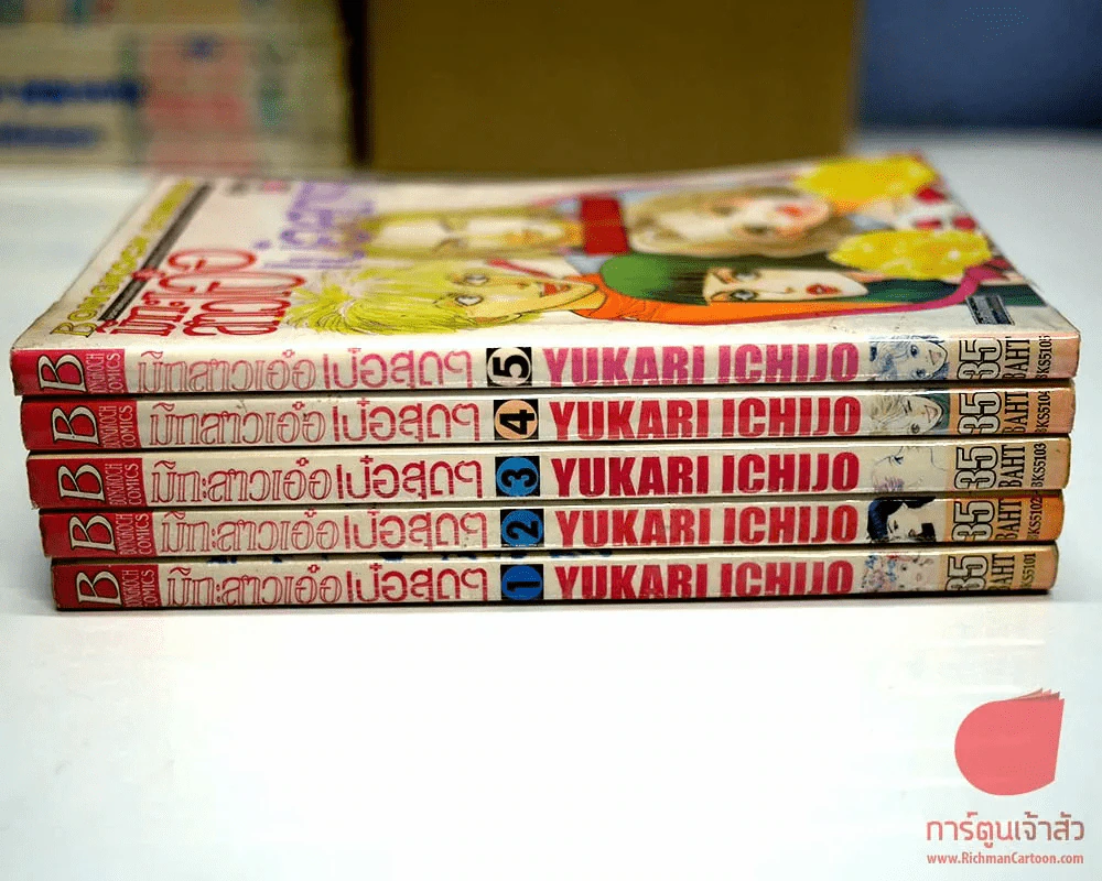 มิกะสาวเอ๋อเป๋อสุดๆ 5 เล่มจบ รูปที่ 3