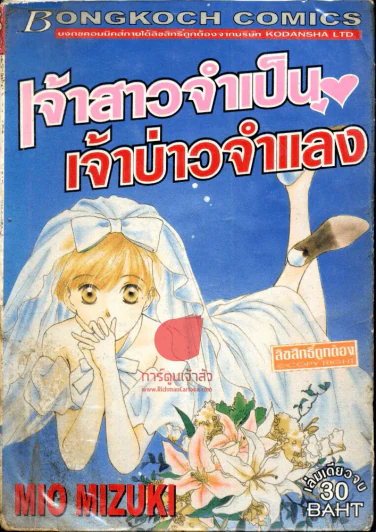 เจ้าสาวจำเป็นเจ้าบ่าวจำแลง รูปที่ 1