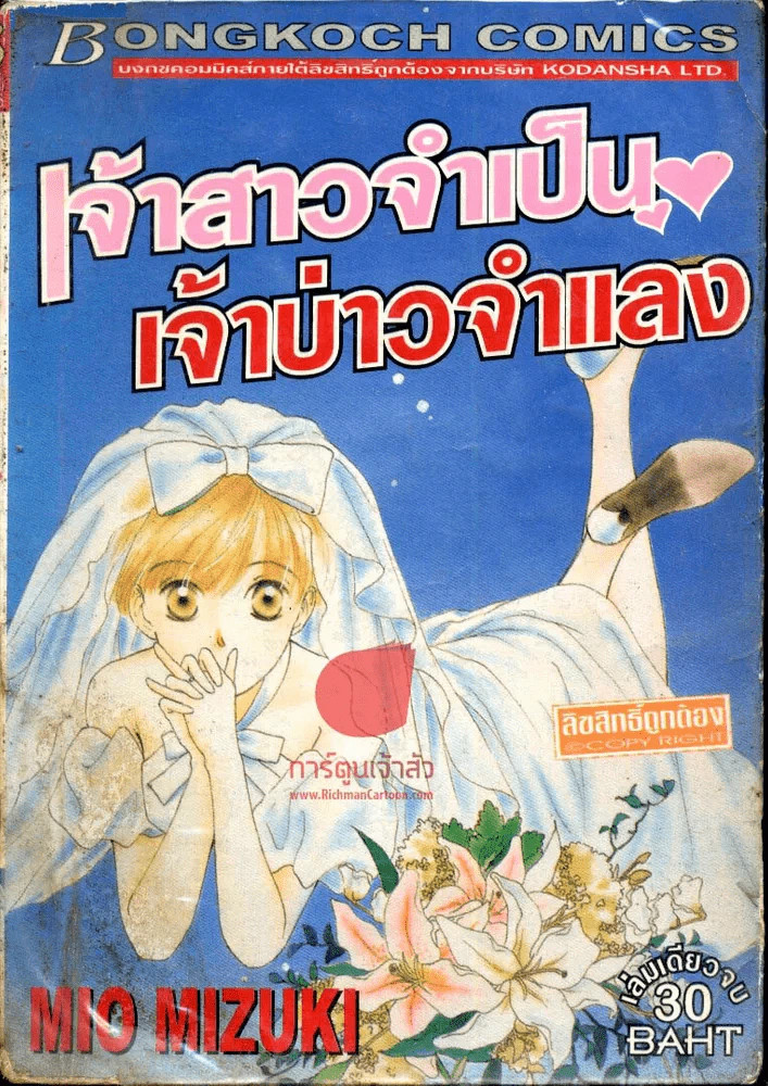 เจ้าสาวจำเป็นเจ้าบ่าวจำแลง รูปที่ 1