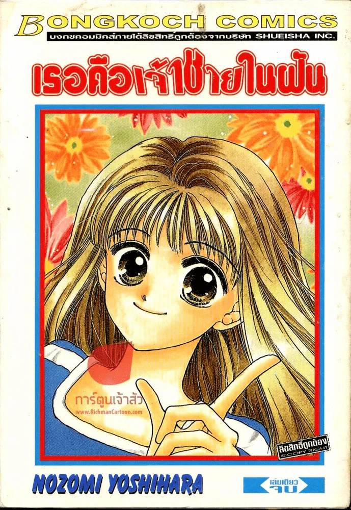 เธอคือเจ้าชายในฝัน รูปที่ 1
