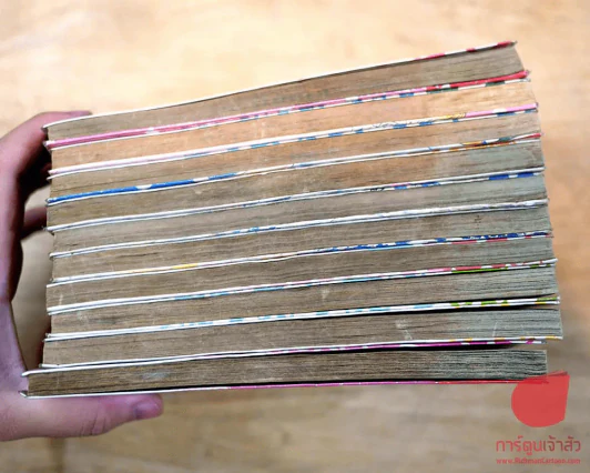 Love Endless องศารักเกินร้อย 10 เล่มจบ รูปที่ 3