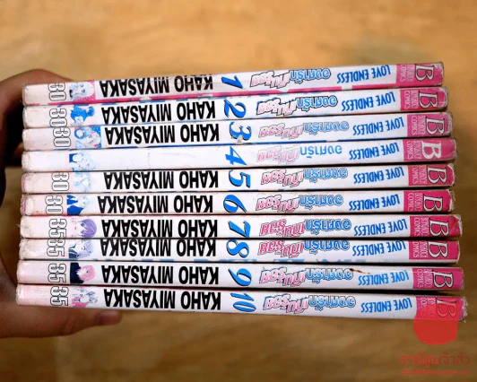 Love Endless องศารักเกินร้อย 10 เล่มจบ รูปที่ 2