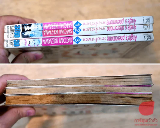 Angle's pheromone นางฟ้าซาตาน 3 เล่มจบ รูปที่ 2