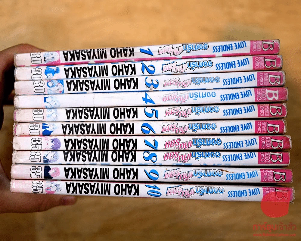 Love Endless องศารักเกินร้อย 10 เล่มจบ รูปที่ 2