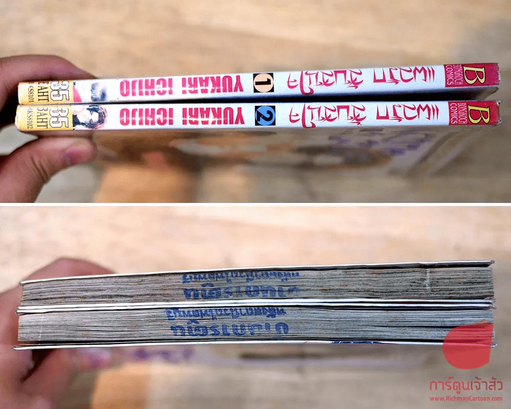 แผลรักสับสนใจ 2 เล่มจบ รูปที่ 2