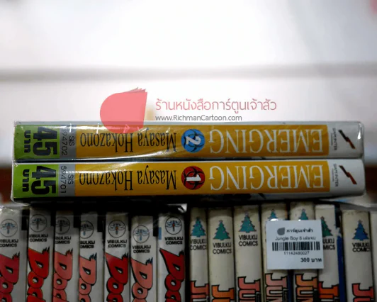 Emerging 2 เล่มจบ รูปที่ 2