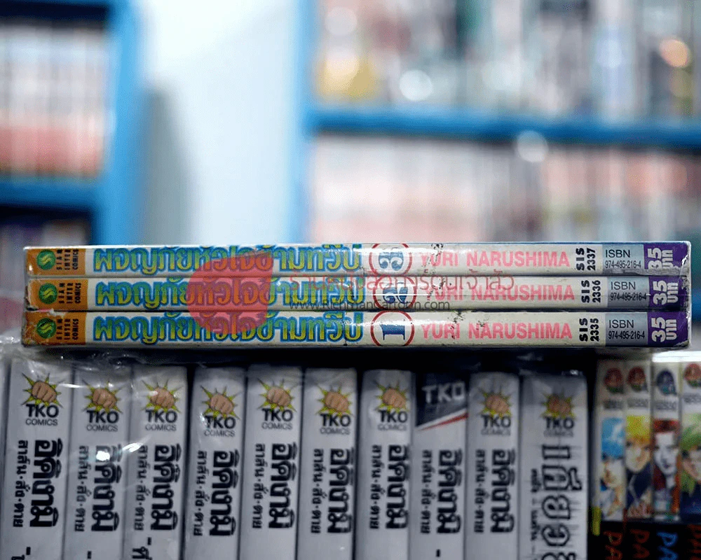 ผจญภัยหัวใจข้ามทวีป เล่ม 1-3 (6 เล่มจบ) รูปที่ 2