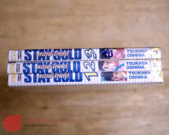 Stay Gold สเตย์ โกลด์ 3 เล่มจบ รูปที่ 2