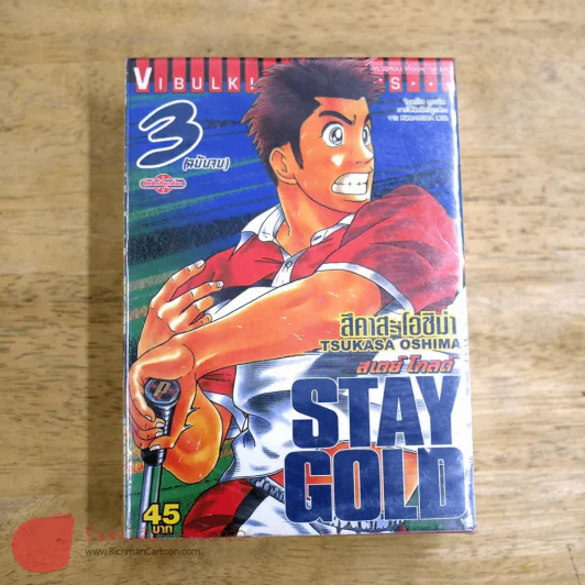 Stay Gold สเตย์ โกลด์ 3 เล่มจบ รูปที่ 1