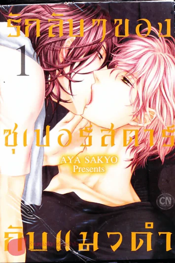รักลับๆของซุเปอร์สตาร์กับแมวดำ เล่ม 1 รูปที่ 1