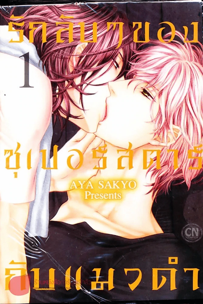 รักลับๆของซุเปอร์สตาร์กับแมวดำ เล่ม 1 รูปที่ 1