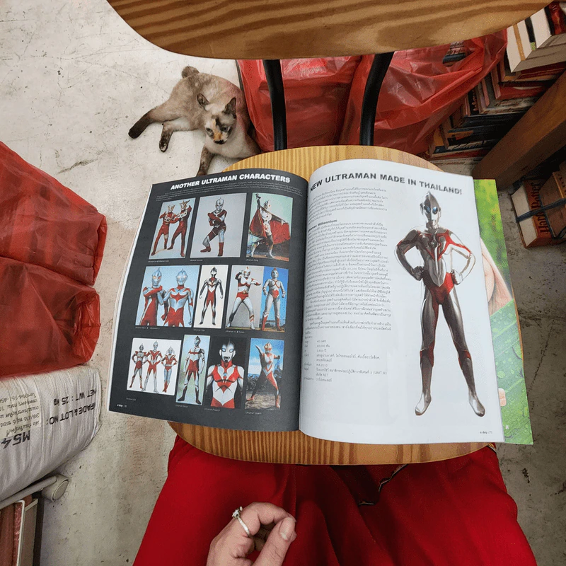 a day 12A Ultraman รูปที่ 11