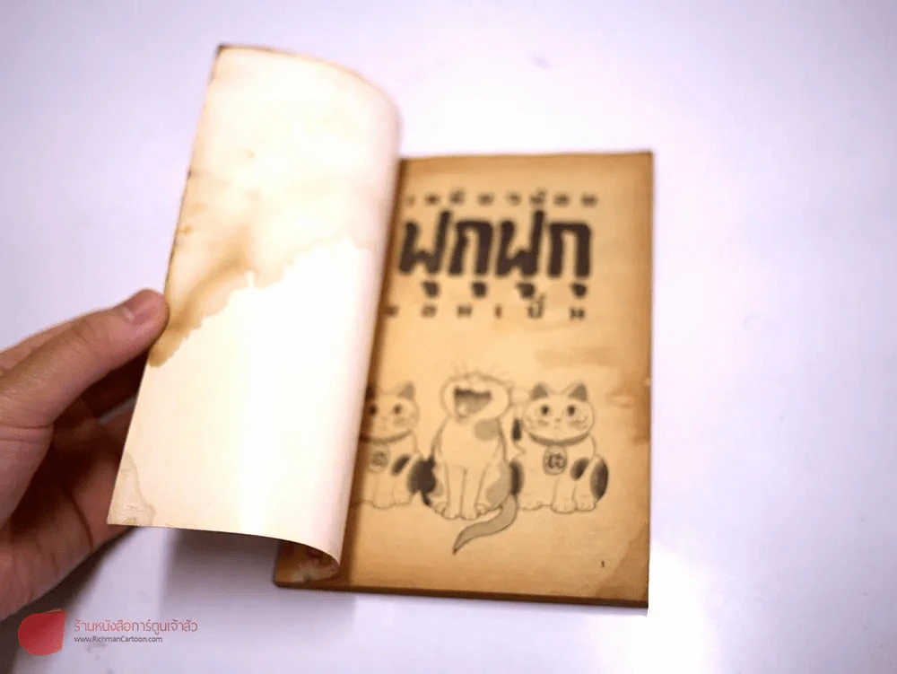 ฟุกุฟุกุ เล่มเดียวจบ รูปที่ 4