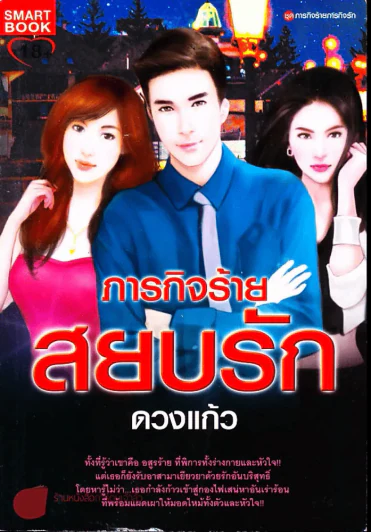 ภารกิจร้ายสยบรัก รูปที่ 1