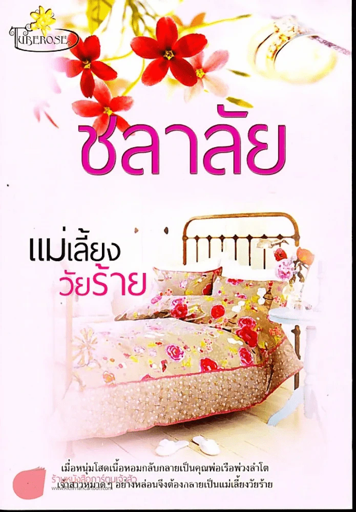 แม่เลี้ยงวัยร้าย รูปที่ 1