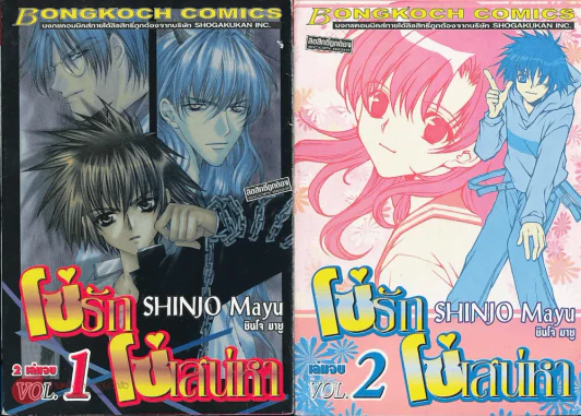 โซ่รักโซ่เสน่หา 2 เล่มจบ Mayu Shinjo รูปที่ 1