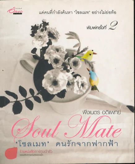 Soul Mate โซลเมท คนรักจากฟากฟ้า รูปที่ 1