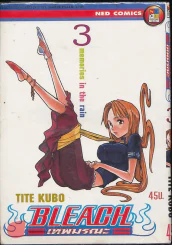 Bleach เทพมรณะ เล่ม 3 รูปที่ 1