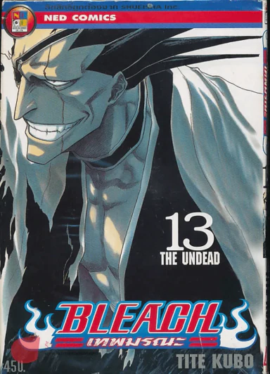 Bleach เทพมรณะ เล่ม 13 รูปที่ 1