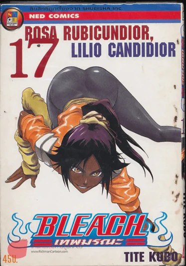 Bleach เทพมรณะ เล่ม 17 รูปที่ 1