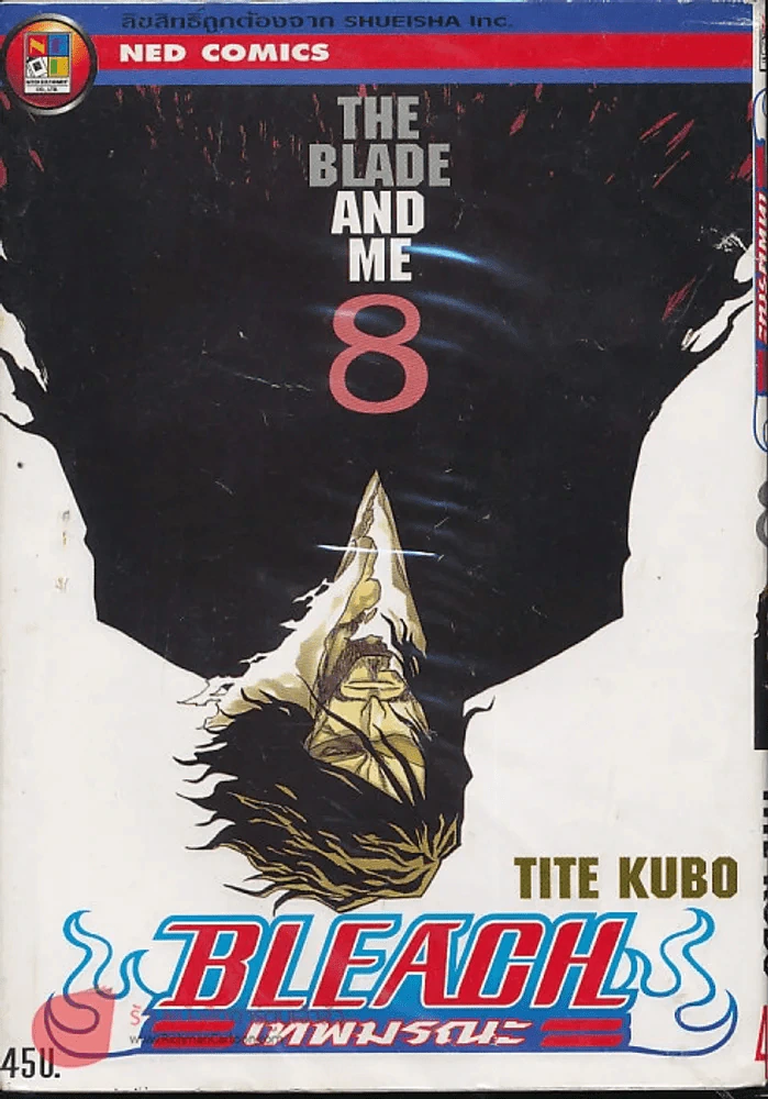 Bleach เทพมรณะ เล่ม 8 รูปที่ 1