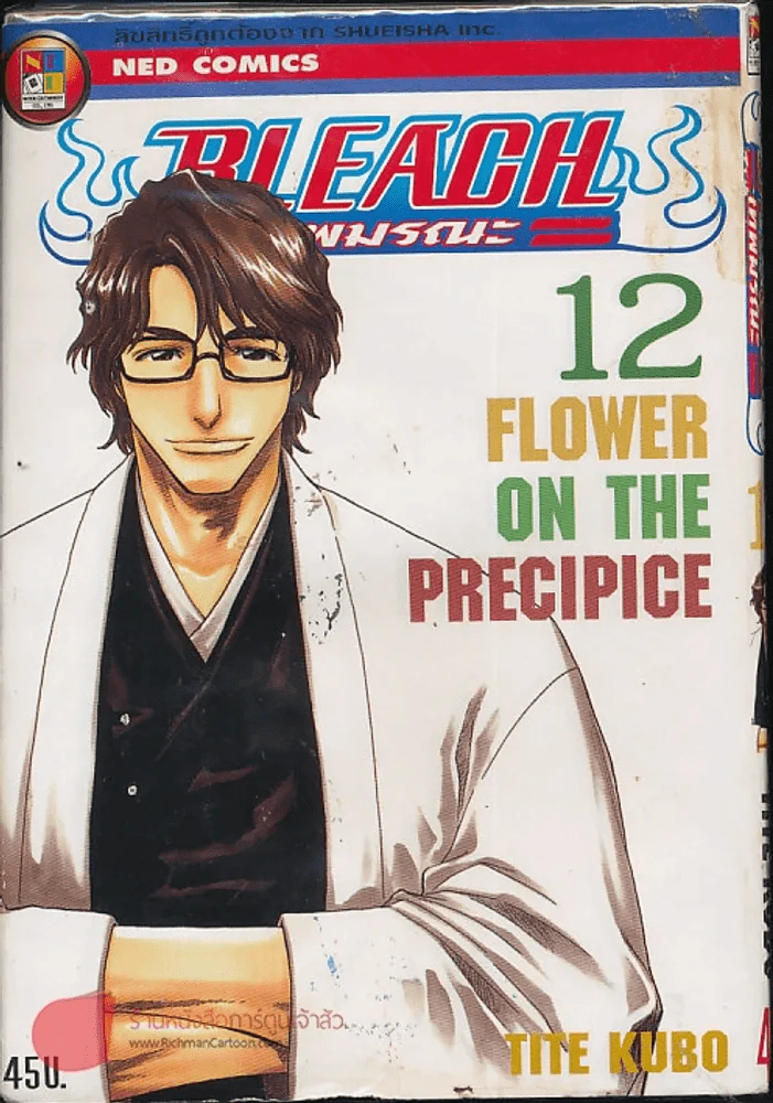 Bleach เทพมรณะ เล่ม 12 รูปที่ 1