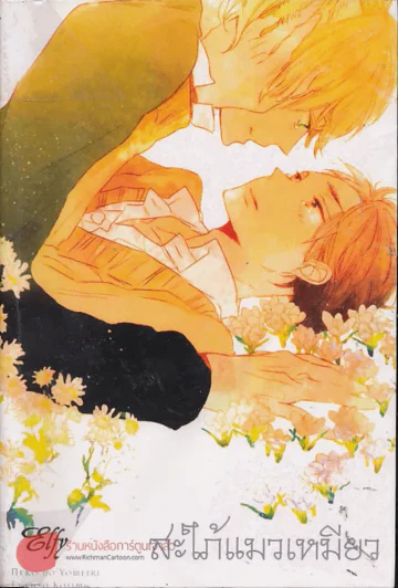 สะใภ้แมวเหมียว รูปที่ 1