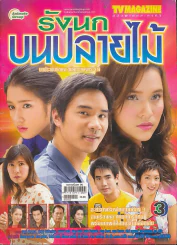 รังนกบนปลายไม้ รูปที่ 1