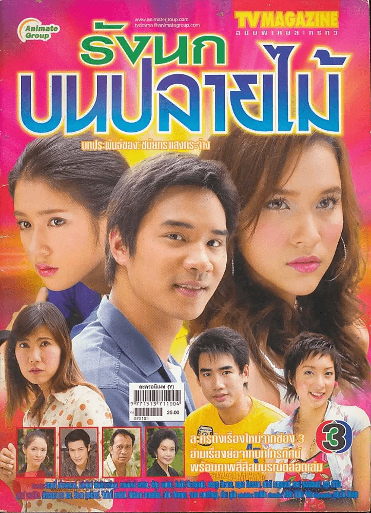 รังนกบนปลายไม้ รูปที่ 1
