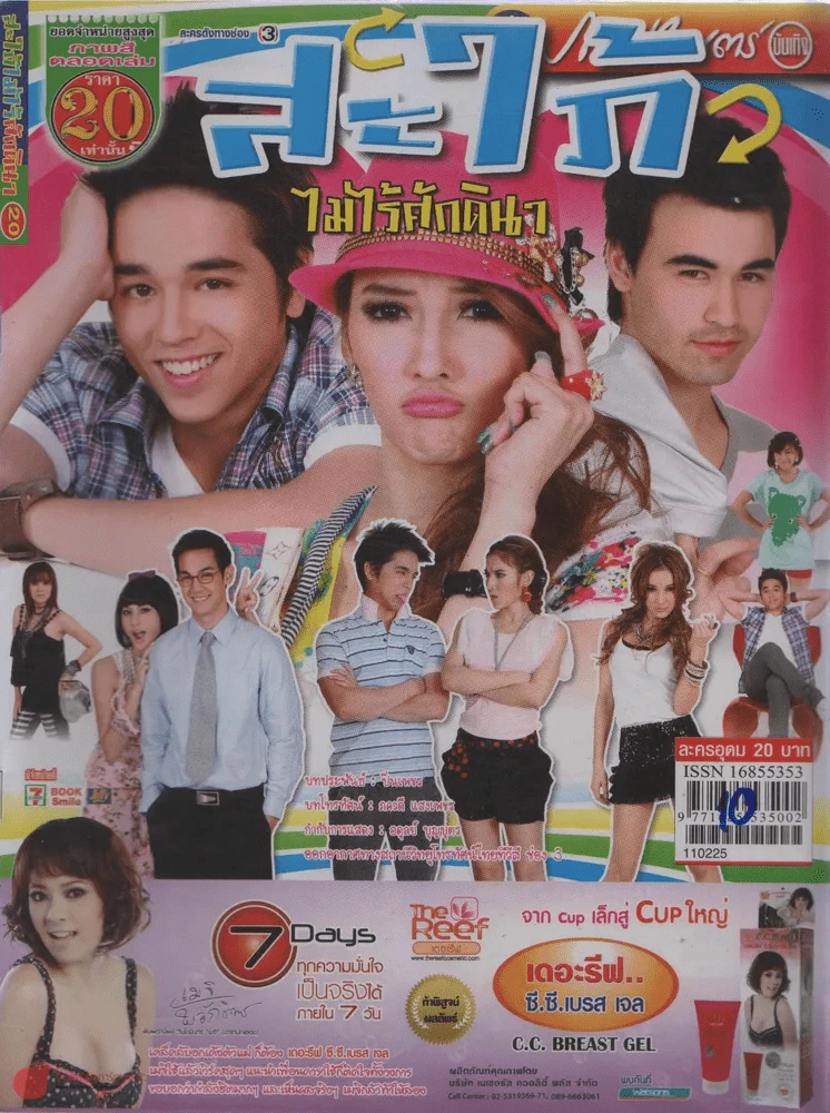 สะใภ้ไม่ไร้ศักดินา รูปที่ 1