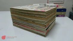 มาเฟียที่รัก 9 เล่มจบ รูปที่ 1