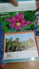 ปฏิทินสวนนงนุช พ.ศ.2558 รูปที่ 4