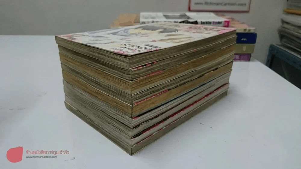 มาเฟียที่รัก 9 เล่มจบ รูปที่ 4