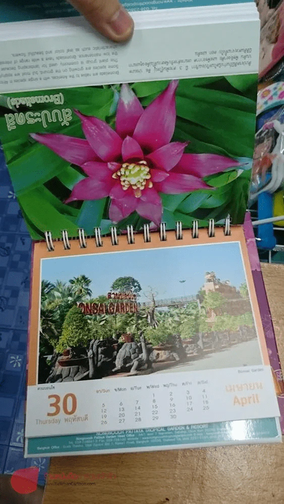 ปฏิทินสวนนงนุช พ.ศ.2558 รูปที่ 4