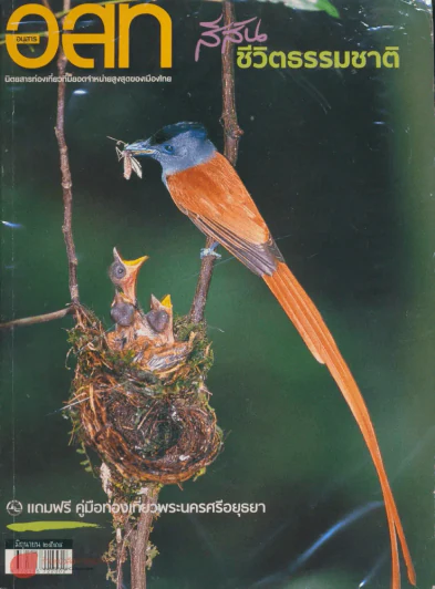 อ.ส.ท. ปีที่ 45 ฉบับที่ 11 มิถุนายน 2548 รูปที่ 1