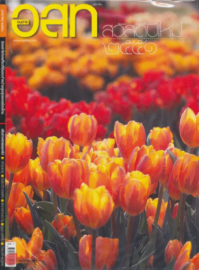 อ.ส.ท. ปีที่ 48 ฉบับที่ 6 มกราคม 2551 รูปที่ 1
