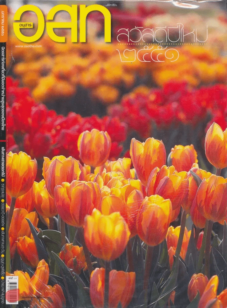 อ.ส.ท. ปีที่ 48 ฉบับที่ 6 มกราคม 2551 รูปที่ 1