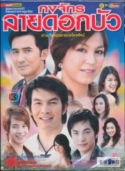 กงจักรลายดอกบัว รูปที่ 1