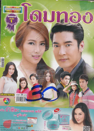 โดมทอง รูปที่ 1