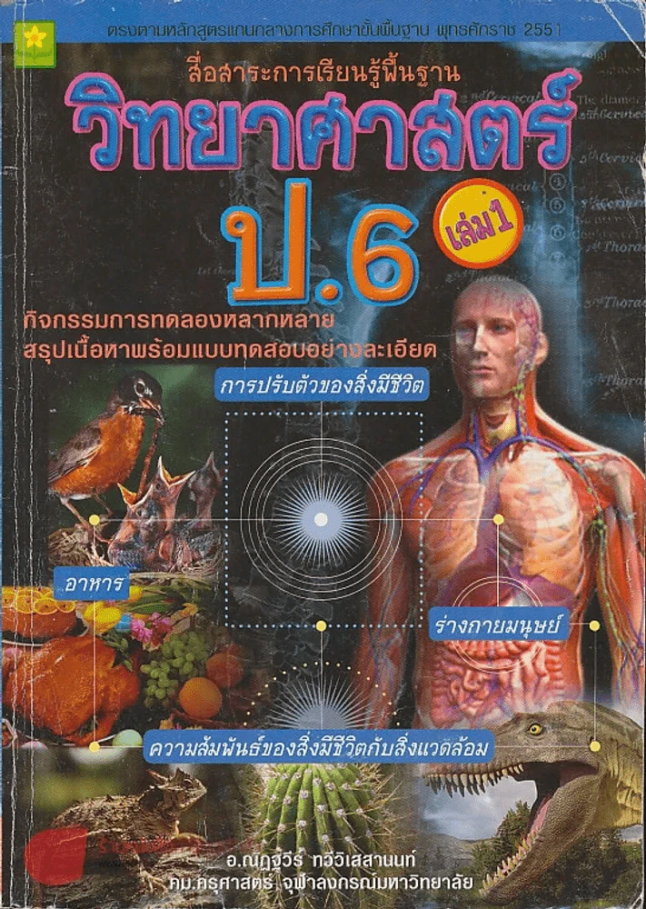 สื่อสาระการเรียนรู้พื้นฐาน วิทยาศาสตร์ ป.6 เล่ม 1 รูปที่ 1