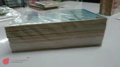 Saikano อาวุธสุดท้ายคือเธอ 6 เล่มจบ (ขาดเล่ม 6) รูปที่ 3