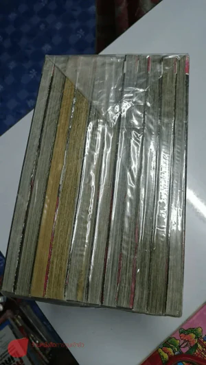 Omega tribe เผ่าทรชนคนพันธุ์เถื่อน ภาคคิงดอม 11 เล่มจบ รูปที่ 1