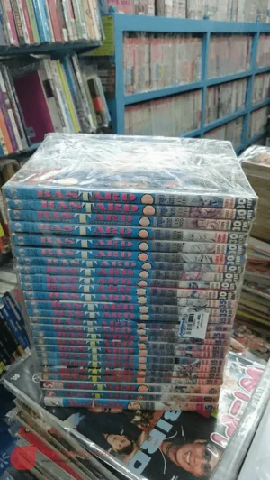 BASTARD!! อสูรร้าย จอมราชัน เล่ม 1-25 รูปที่ 3