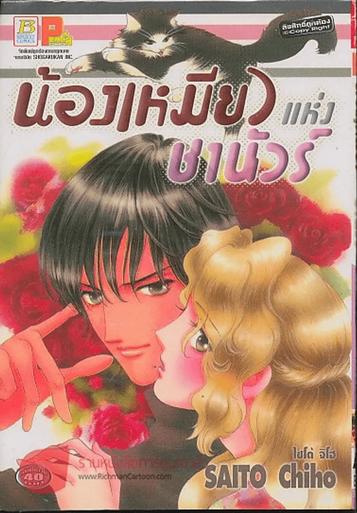 น้องเหมียวแแห่งชานัวร์ (Saito Chiho) รูปที่ 1
