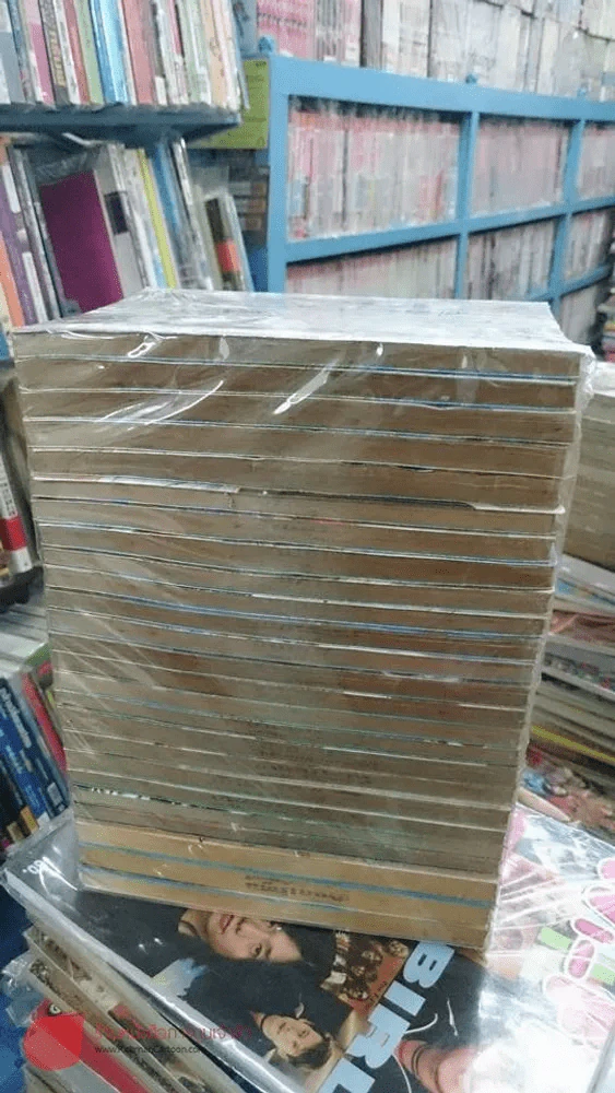 BASTARD!! อสูรร้าย จอมราชัน เล่ม 1-25 รูปที่ 2