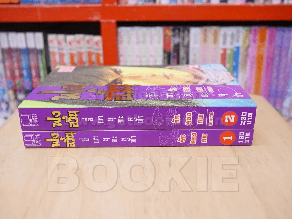 ฟงอวิ๋น ขี่พายุทะลุฟ้า รักสองภพจบภาค นิยาย 2 เล่มจบ รูปที่ 2