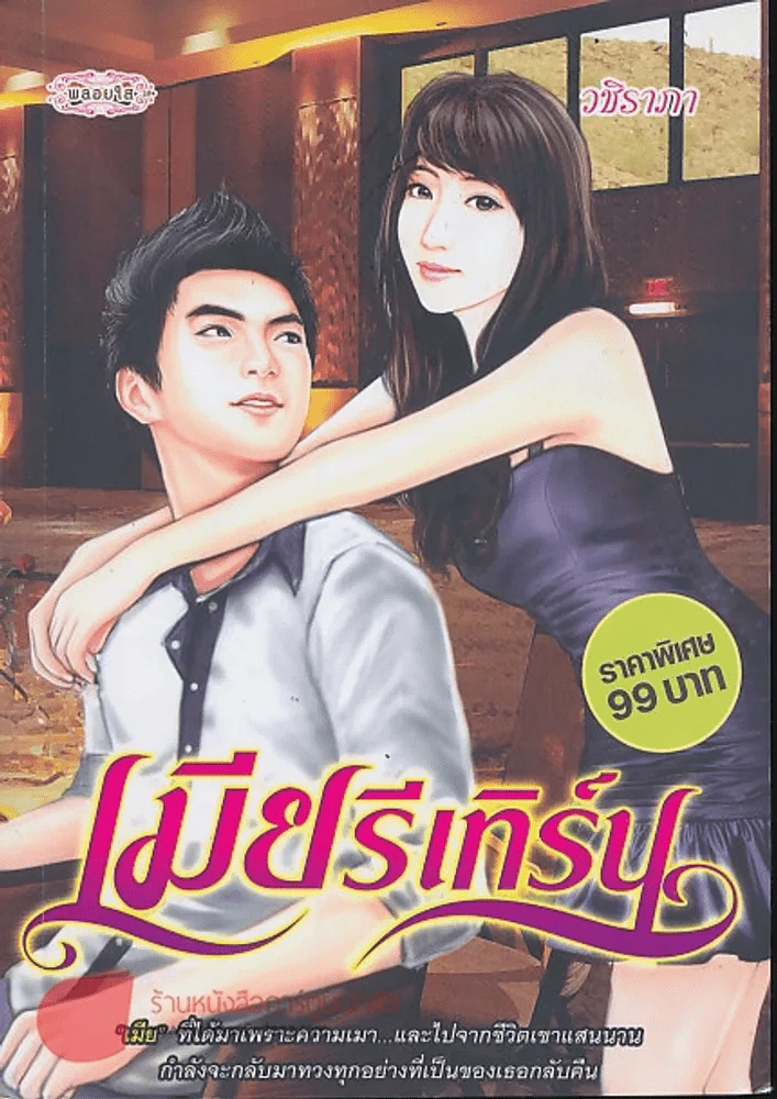 เมียรีเทิร์น รูปที่ 1