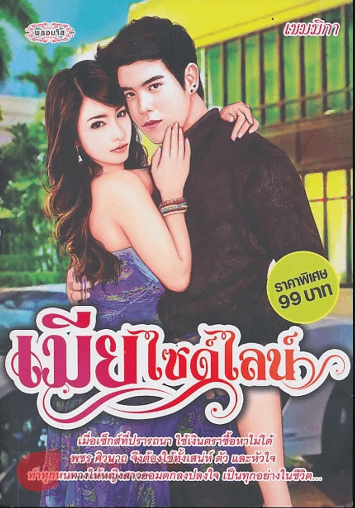เมียไซด์ไลน์ รูปที่ 1